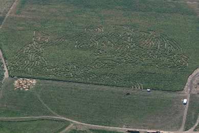 Click to see IMG_0543.JPG