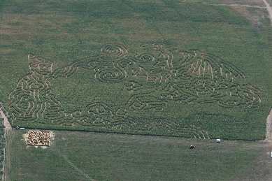 Click to see IMG_0555.JPG