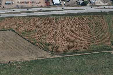 Click to see IMG_0561.JPG