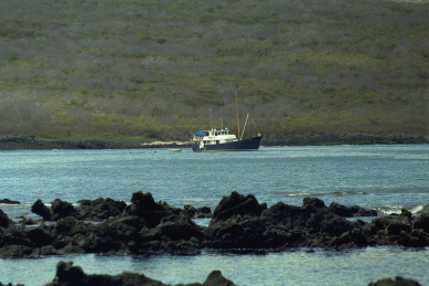 Click to see boat1.JPG