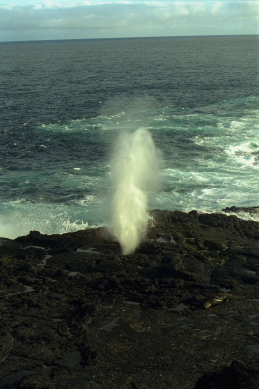 Click to see galapmisc5.JPG